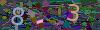 captcha-1781949930