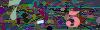 captcha-1781956489