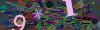 captcha-1781963673
