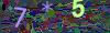captcha-1781970824