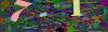 captcha-1781991513