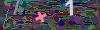 captcha-1781992806