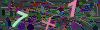 captcha-1781995442