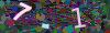 captcha-1781995636