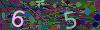 captcha-1781995677