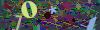captcha-1781996567