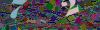 captcha-1782030000