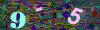 captcha-1782075614