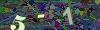 captcha-1782117509