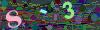 captcha-1782129674