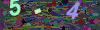 captcha-1782135218