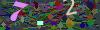 captcha-1782155919