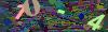 captcha-1782245840