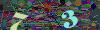 captcha-1782280456