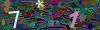 captcha-1782337465