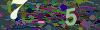 captcha-1782340055