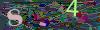 captcha-1782372000