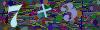 captcha-1782383268