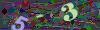 captcha-1782402529