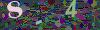 captcha-1782405798