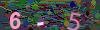 captcha-1782440356
