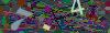 captcha-1782441679