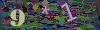 captcha-1782460789