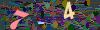 captcha-1782484919