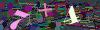 captcha-1782515027