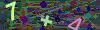 captcha-1782579404