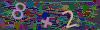 captcha-1782633531