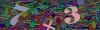 captcha-1782797971