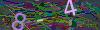 captcha-1782806439