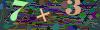 captcha-1782855813