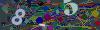 captcha-1782948350