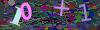 captcha-1782988702