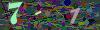 captcha-1783029135