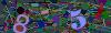 captcha-1783056214