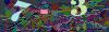captcha-1783318326