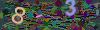 captcha-1783335891