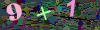 captcha-1783446577