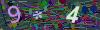 captcha-1783455471