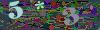 captcha-1783515409
