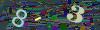 captcha-1783546942
