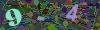 captcha-1783558232