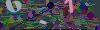 captcha-1783558541