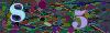 captcha-1783632068