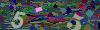 captcha-1783640399