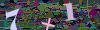 captcha-1783642593