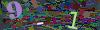 captcha-1783647256